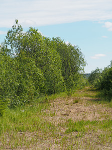 森林道路季节场景耕地林道活力小路孤独草地耕作草原图片