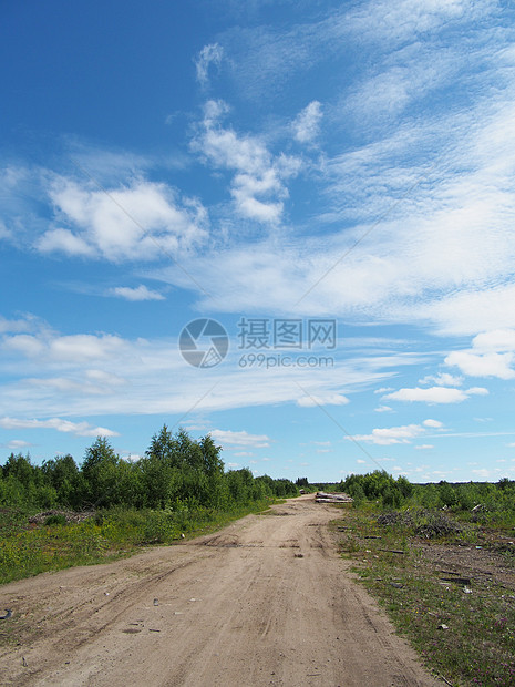 森林道路农业全景植物小路活力孤独季节耕作树木生态图片