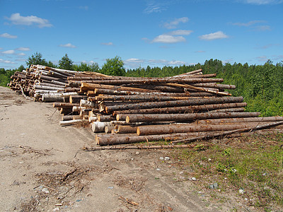 路上的木头营林林地木桩树干木材资源林业卡车破坏环境图片