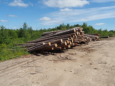 路上的木头生态林业资源树桩树干卡车木材环境针叶破坏图片