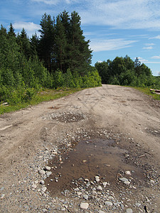 森林道路场景全景树木环境草地小路耕作耕地草原天空图片