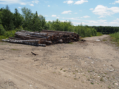 路上的木头生态贮存木桩木材树桩破坏柴堆卡车松树记录图片