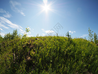 阳光明媚的草地太阳季节蓝色国家农村牧歌空地光束环境公园图片