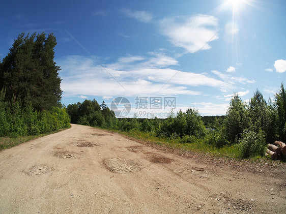 森林道路活力生态土地场景林道小路场地农业耕作孤独图片