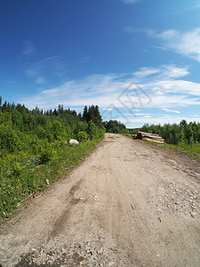 森林道路土地植物环境农村耕地耕作草原农业场地季节图片