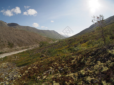 基比尼山脉白内障松树岩石冰川云杉风景石头悬崖旅游天空图片