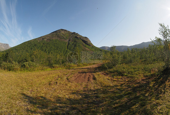 基比尼山脉森林全景合唱团风景石头云杉白内障科拉冰川松树图片