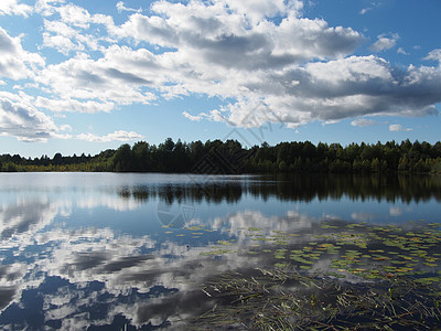 夏天的湖边天空支撑射线太阳森林岩石浅滩蓝色松树小路图片