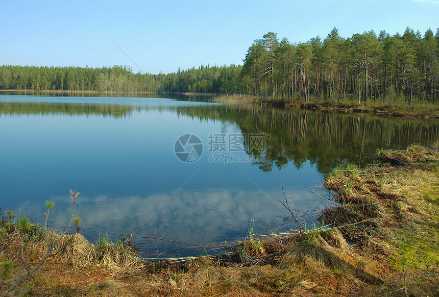 美丽的湖泊季节正方形海岸桦木天空蓝色阳光植物群海岸线石头图片