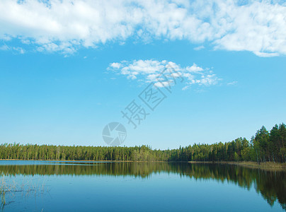 美丽的湖泊季节反射蓝色森林阳光植物群岩石石头天空海岸线图片