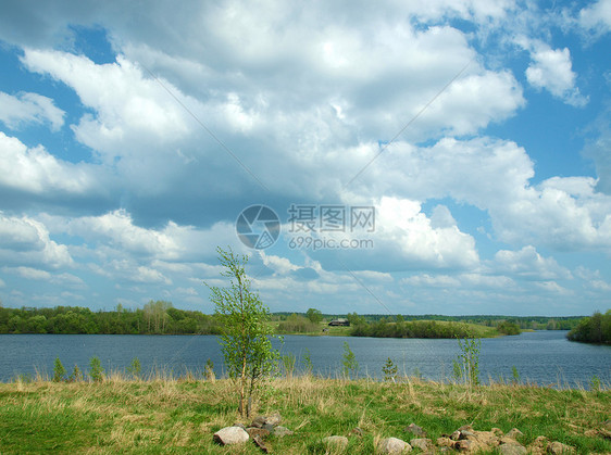 河岸沿岸季节海岸天空绿色荒野木头植物野生动物蓝色天气图片