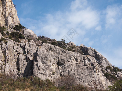 树木 天空和岩石游客美丽地平线松树太阳植物蓝色旅行海岸线针叶图片