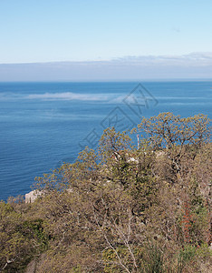 树木 天空和岩石绿色海岸线牧歌石头蓝色海岸植物季节针叶海浪图片