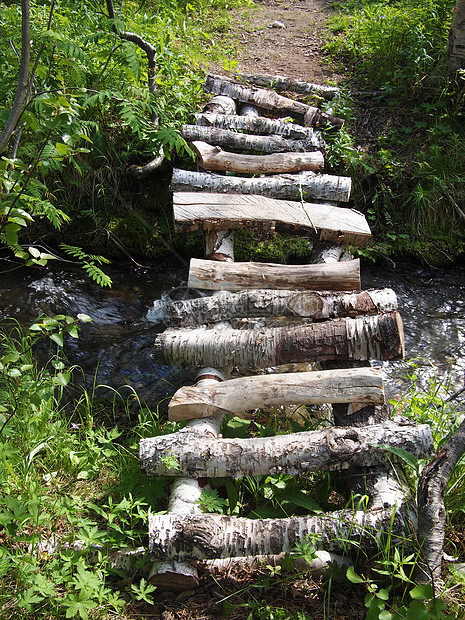 木木桥鳟鱼河岸流动激流碎石溪床公园木头石头蕨类图片