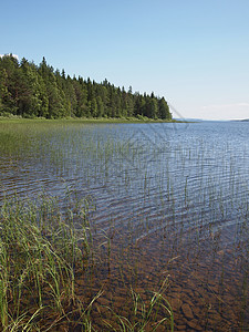 海滩湖湖远足地平线荒野孤独旅游旅行天堂场景蓝色森林图片