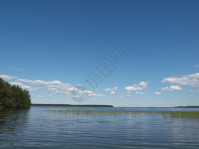 美丽的湖泊蓝色天空荒野木头季节野生动物植物太阳图片