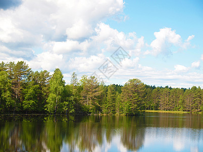 湖边海岸美丽森林支撑岩石正方形石头蓝色反射海岸线天空图片