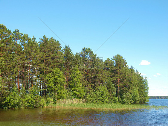 湖边海岸阳光季节岩石支撑森林反射蓝色海岸线植物群石头图片