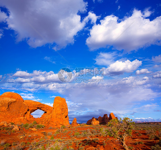 美国Moab Utah国家公园公园岩石曲线编队窗户石头蓝色天空橙子峡谷图片