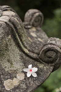 传统的亚洲石器灯笼文化神社花岗岩岩石遗产大理石寺庙佛教徒照明神道图片