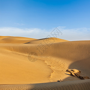 印度拉贾斯坦邦Thar沙漠的Dunes沙丘风景旅行日落观光旅游日光沙漠土地天空图片