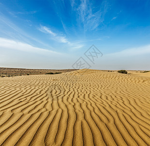 印度拉贾斯坦邦Thar沙漠的Dunes观光沙丘土地日光沙漠日落旅行天空旅游风景图片