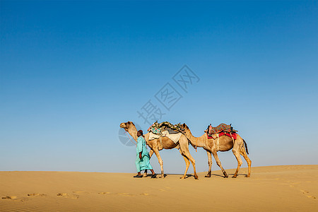 印度拉贾斯坦邦骆驼骑骆驼的骆驼骆驼情调男性男人旅行风景沙丘坦邦骆驼冒险沙漠图片