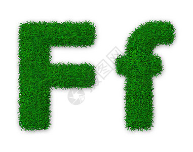 草信F绿色打字稿插图环境小写生态字体首都图片