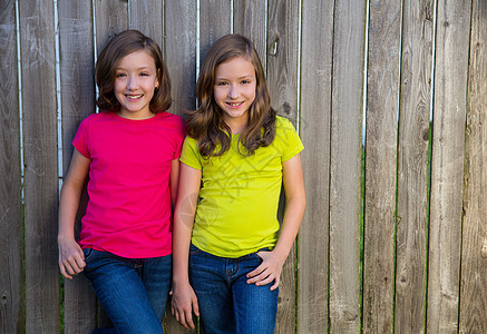 姐妹姊妹在木篱笆上摆着不同发型的双姐妹快乐幸福金发乐趣家庭孩子女性女孩们公园童年图片