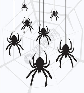 悬挂蜘蛛和网络的矢量图片