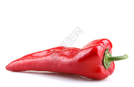 白色背景上的红辣椒植物食谱红色辣椒胡椒图片