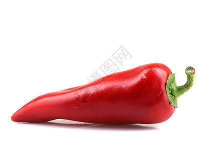 白色背景上的红辣椒红色食谱胡椒辣椒植物图片