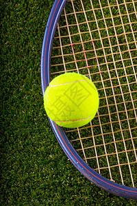 网球和在草地上吵闹细绳黄色球拍水平法庭竞赛闲暇娱乐场地游戏图片