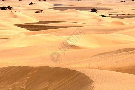 沙漠沙漠全景地形沙丘天空冒险场景蓝色金子土地荒野图片