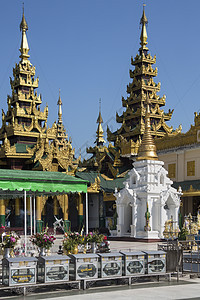 大金塔复杂 - 仰光 - 缅甸图片