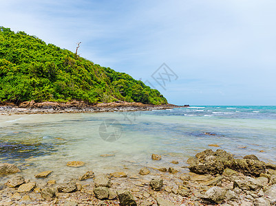 热带热带海滩丛林阳光波纹游泳森林海浪沙滩风景晴天海岸图片