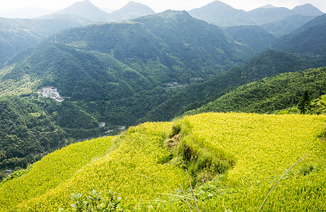 中国文州风景     山地景观乡村绿色农民水库农家梯田竹子收成细流旅游图片