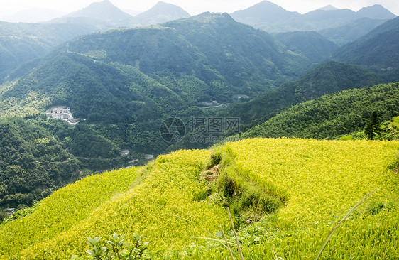 中国文州风景     山地景观乡村绿色农民水库农家梯田竹子收成细流旅游图片