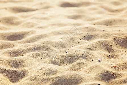沙滩背景沙丘沙漠波纹涟漪黄色场景棕色沙褐色金子颗粒状图片