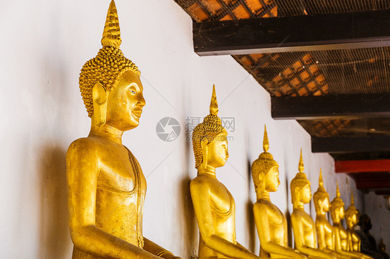 金佛连成一排祷告寺庙佛像精神宗教佛教徒历史性黄色雕像崇拜图片