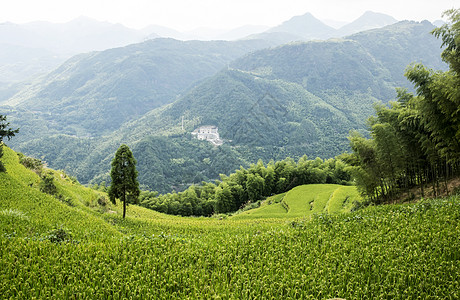 中国文州风景     山地景观梯田收成山脉绿色农民山谷农业旅游农家稻田图片