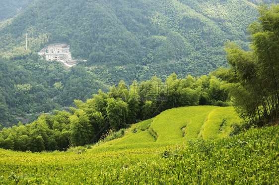 中国文州风景     山地景观乡村山谷收成农业农家竹子梯田山脉路线绿色图片