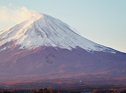 富士山冰镇日落植物日出公吨顶峰积雪火山图片