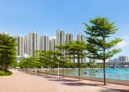 香港住宅区香港特区花园景观城市市中心植物建筑住房空间民众开放图片