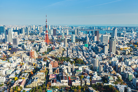 铁塔日本东京天际公司夜景企业地标蓝色办公室大楼办公楼商业天空背景