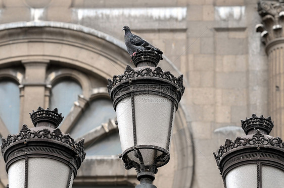 鸽子站在光线上城市蓝色玻璃邮政金属灯泡路灯街道照明天空图片
