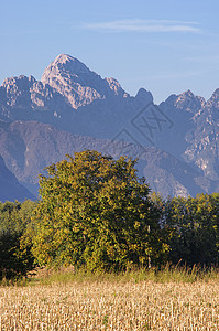 秋树土地顶峰风景森林天空全景日落岩石首脑蓝色图片