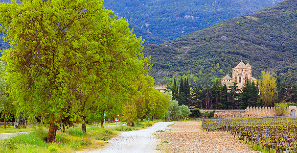 西班牙酒庄通往西班牙圣玛丽亚·德波布利特河口的公路背景