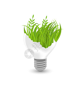 白色背景与外界隔绝的带青草的灯光插图回收植物叶状灯泡发芽生态养护幼苗活力图片