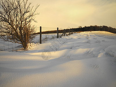 冬季雪  约克郡  英格兰乡村旅游漂流农村漂移栅栏气候天气风景旅行图片